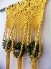 Load image into Gallery viewer, Wall Hanging Triple Plant Hanger
