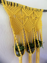Load image into Gallery viewer, Wall Hanging Triple Plant Hanger
